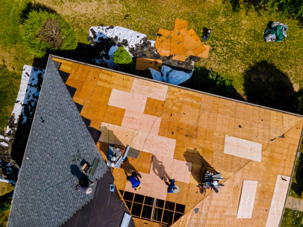 Professional Roofing Contractor in Lynchburg, MS