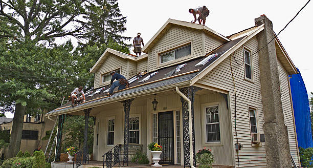 Best Roof Maintenance Services  in Lynchburg, MS